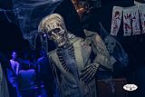 Party 28.10.2017